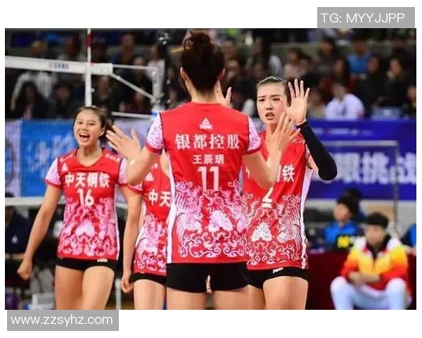 武汉排球队耐力对比深度解析与训练策略探讨